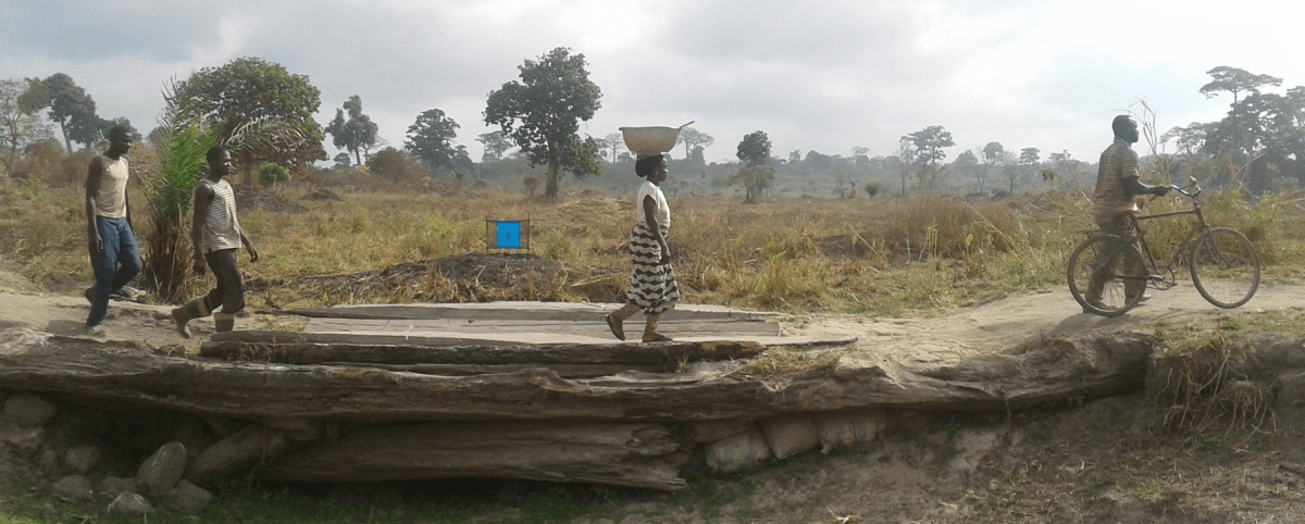 nstallation of a blue-black fabric screen to attract tsetse flies, treated with an insecticide, in Côte d’Ivoire © F. Courtin, IRD